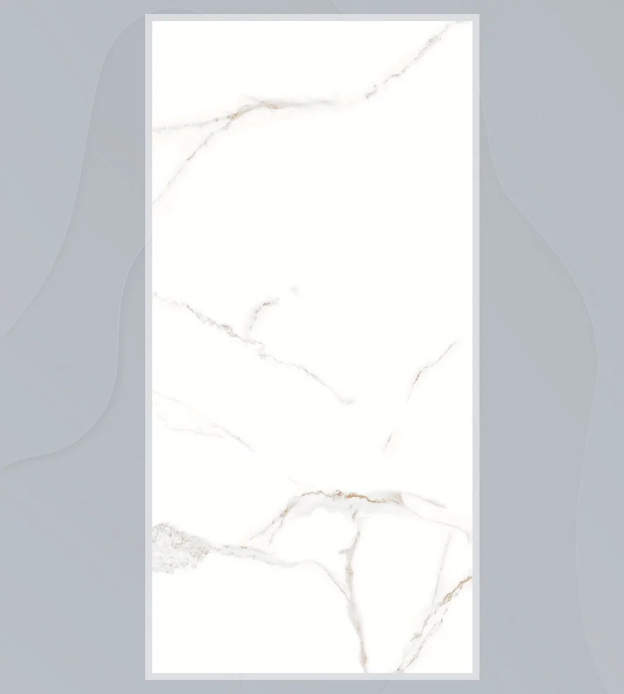 600x1200 Ps_ 1009 Porcelain Tile
