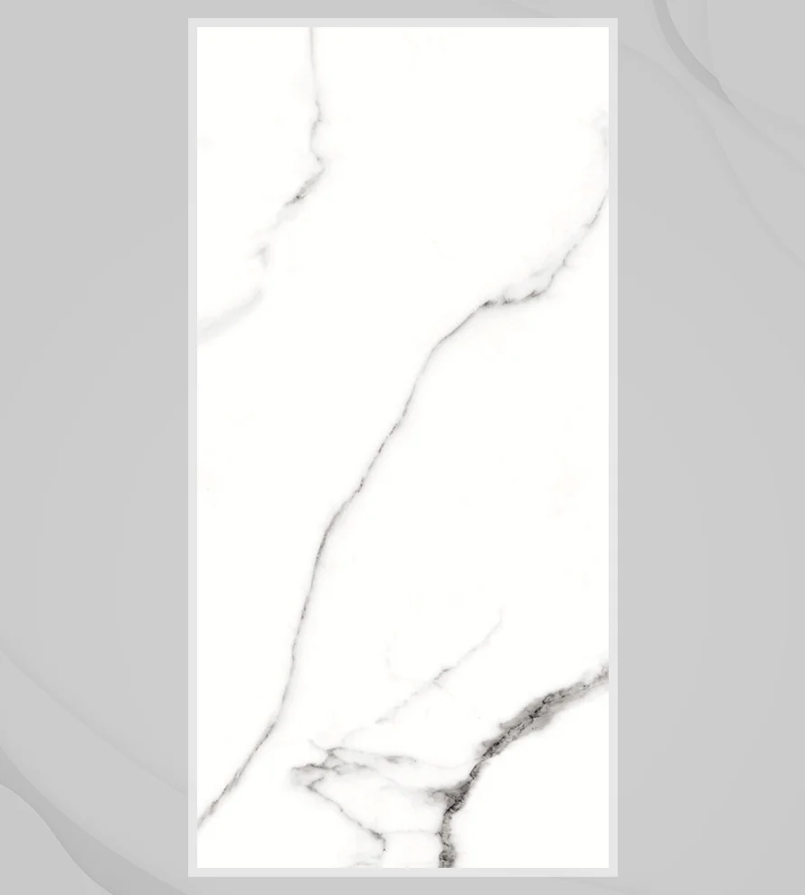 600x1200 Ps_ 1029 Porcelain Tile