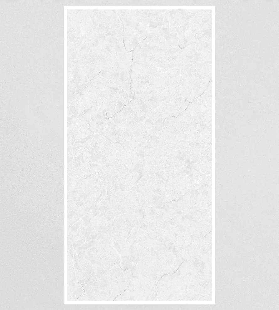 600x1200 6024-BLOSTER-GREY Porcelain Tile