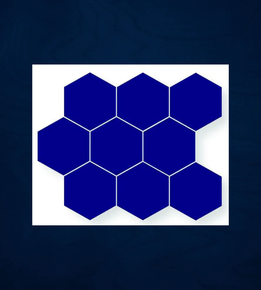 300x300 Hexagon_M1901 Porcelain Tile - Image 1