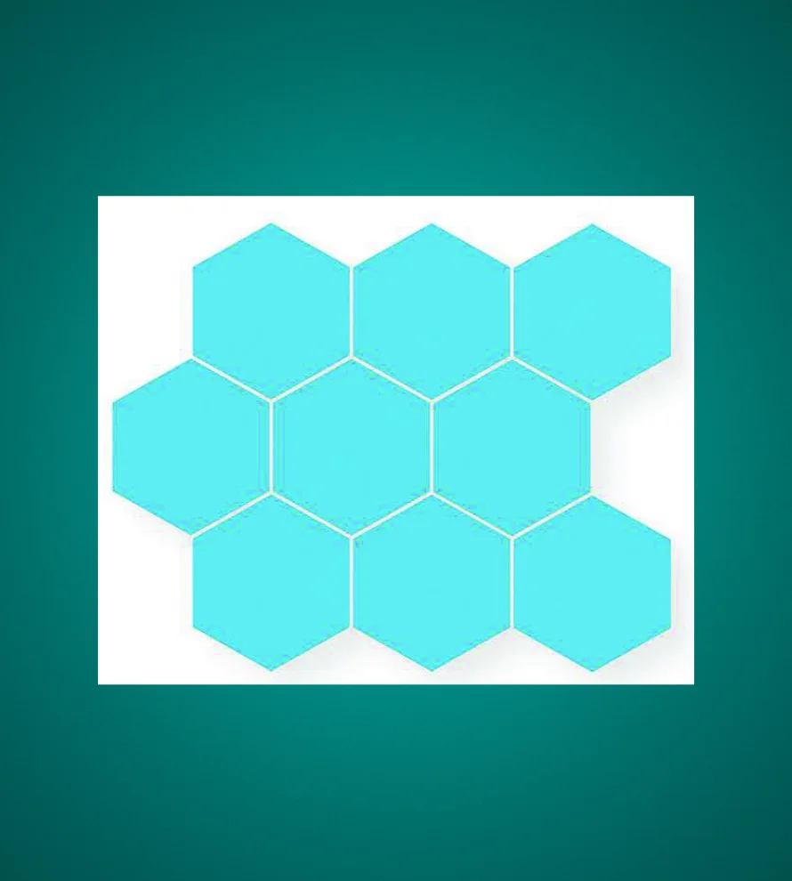 300x300 Hexagon_M1910 Porcelain Tile - Image 1