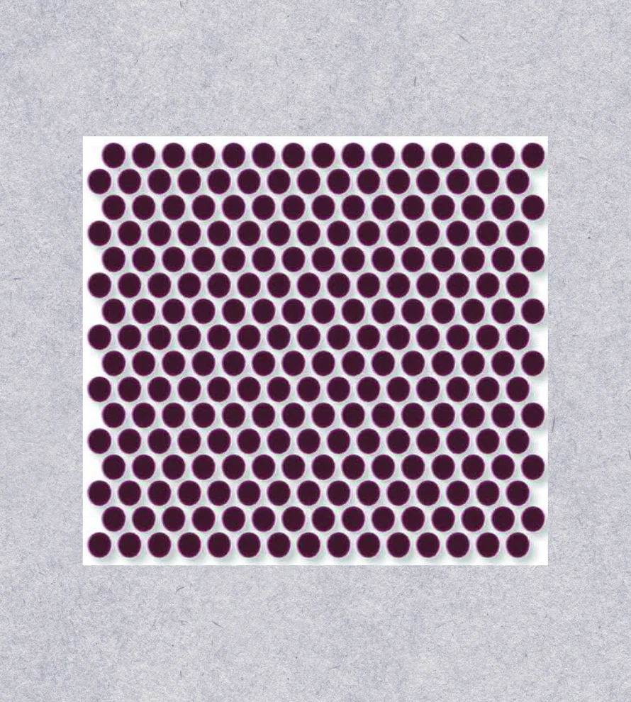 300x300 Penny_Rounds_RM1401 Porcelain Tile - Image 1