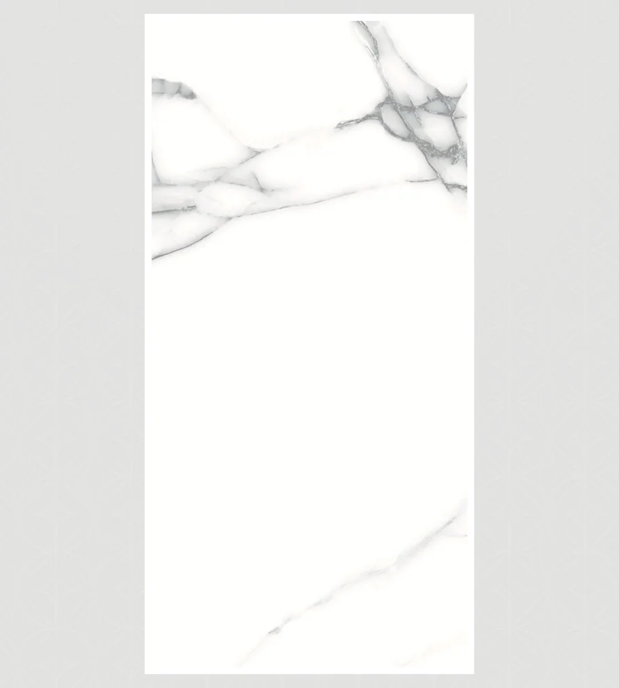 600x1200 Ps_ 2060 Porcelain Tile